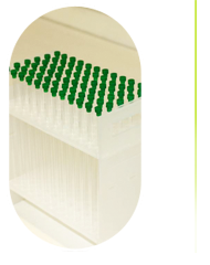 bioanalysis illustration