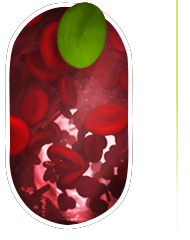 data analysis illustration